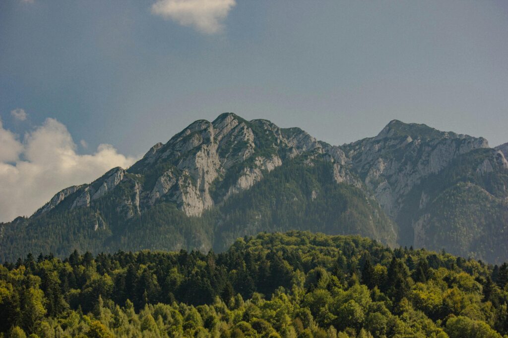 A Slow journey in the heart of Transylvania pexels alex cristea 1920736 3544776